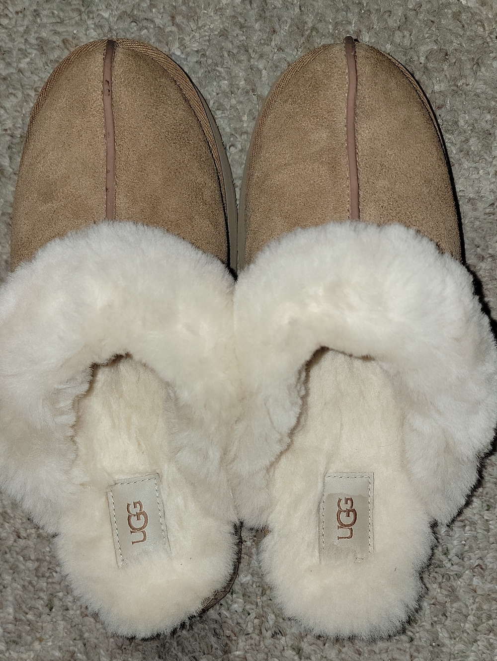 UGG Disquette 11 Chestnut Excellent Condition With Original Box